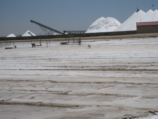 Etosha 276.jpg